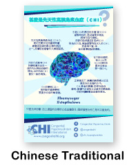 Chinese traditional language version of What is Congenital Hyperinsulinism poster