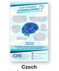 Czech language version of What Is Congenital Hyperinsulinism poster