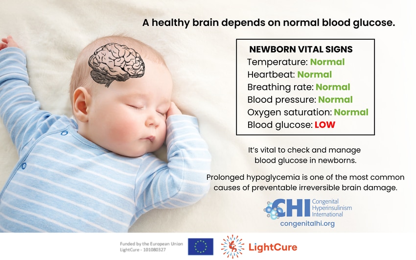 a healthy brain depends on normal blood glucose